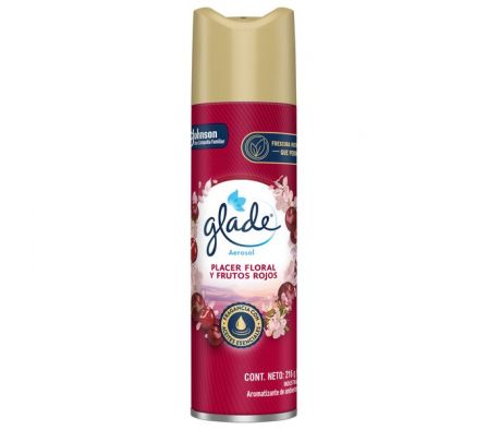 DESODORANTE AERO GLADE FLORAL Y FRUTOS ROJOS 225ML