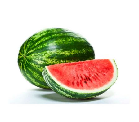 SANDIA BRASIL  X KL